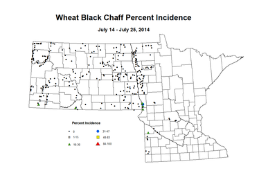 7 14 7 25 Wheat BCP Inc