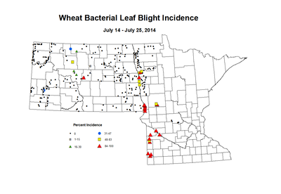 7 14 7 25 Wheat BLBI