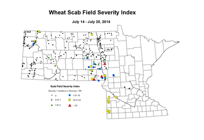 7 14 7 25 Wheat Scab Index