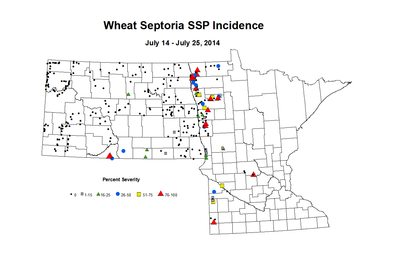7 14 7 25 Wheat SSP Inc