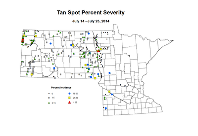 7 14 7 25 Wheat TS Sev
