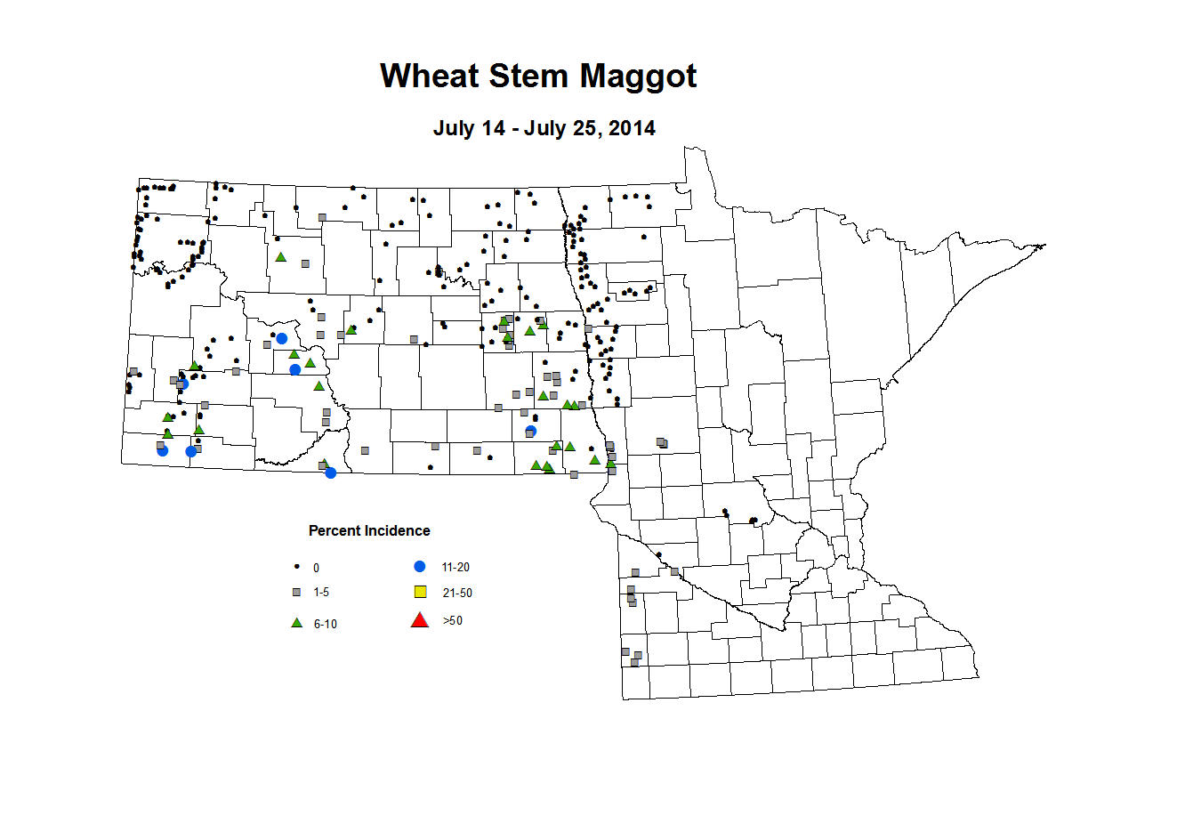 7 14 7 25 Wheat WS Maggot