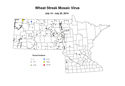 7 14 7 25 Wheat WSMV Inc