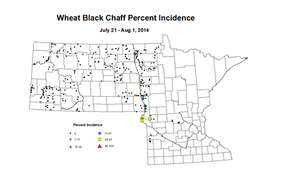 7 21 8 1 Wheat BCP Inc