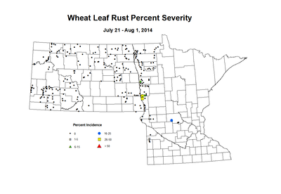 7 21 8 1 Wheat LR Sev