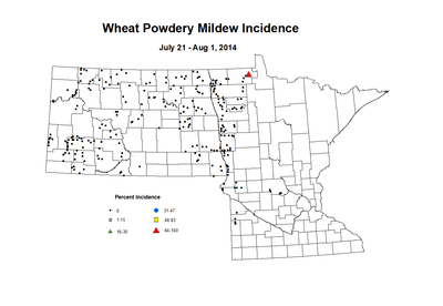 7 21 8 1 Wheat PM Inc