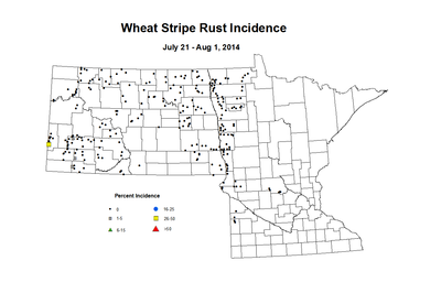 7 21 8 1 Wheat SR Inc