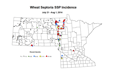 7 21 8 1 Wheat SSP Inc