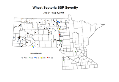 7 21 8 1 Wheat SSP Sev