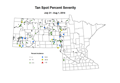 7 21 8 1 Wheat TS Sev