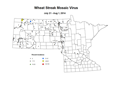 7 21 8 1 Wheat WSMV Inc