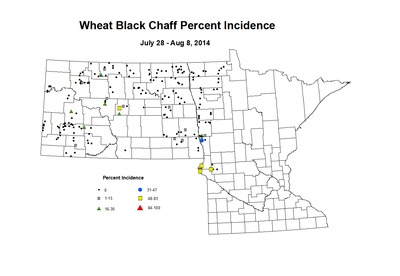 7 28 8 8 Wheat BCP Inc