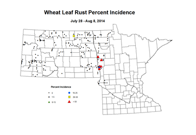7 28 8 8 Wheat LR Inc