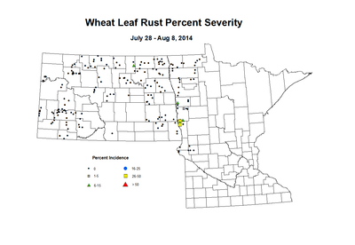 7 28 8 8 Wheat LR Sev