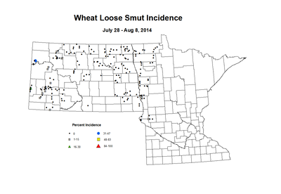 7 28 8 8 Wheat LS Inc