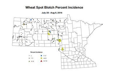 7 28 8 8 Wheat SB Inc