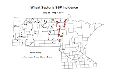 7 28 8 8 Wheat SSP Inc