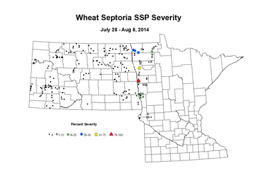 7 28 8 8 Wheat SSP Sev