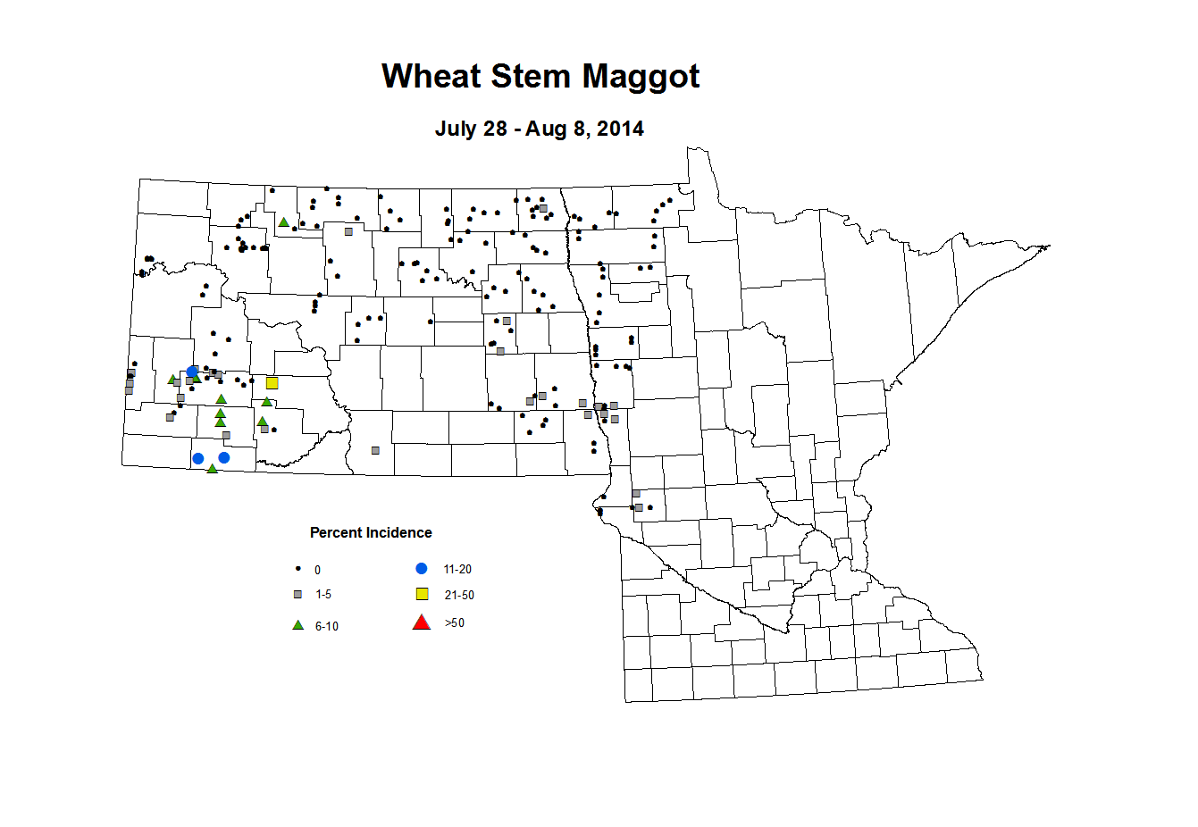 7 28 8 8 Wheat WS Maggot