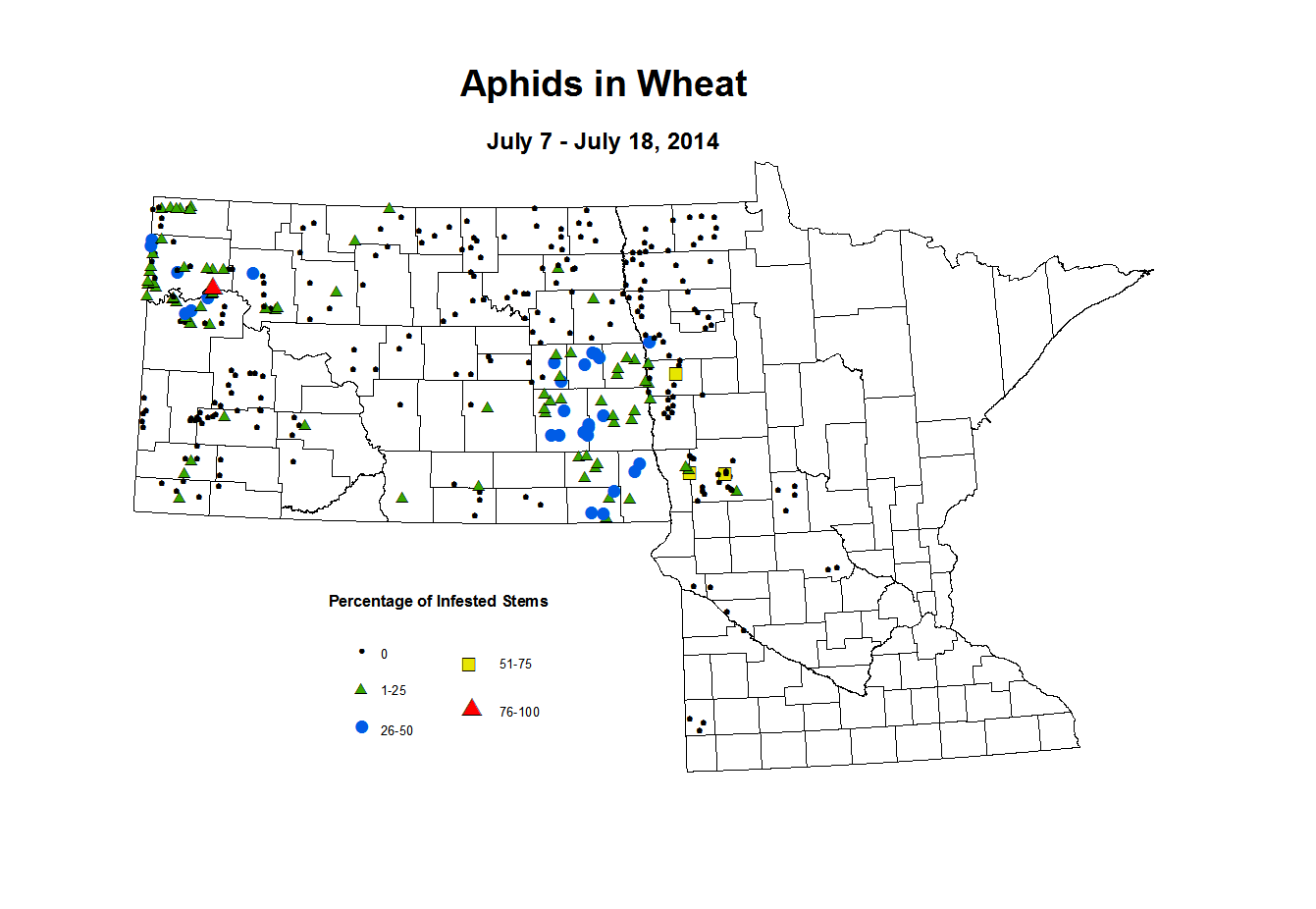 7 7 7 18 Wheat Aphid Tillers