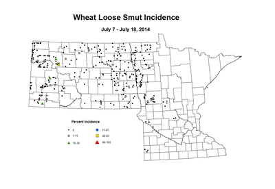 7 7 7 18 Wheat LS Inc