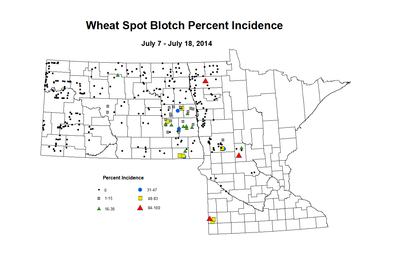 7 7 7 18 Wheat SB Inc