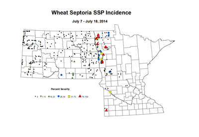 7 7 7 18 Wheat SSP Inc