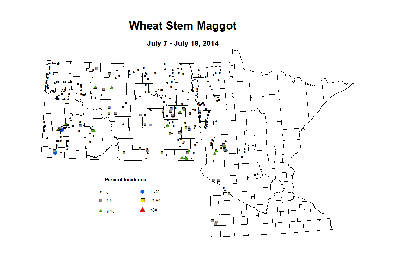 7 7 7 18 Wheat WS Maggot