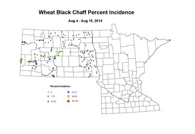 8 4 8 15 Wheat BCP Inc