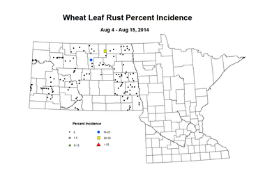 8 4 8 15 Wheat LR Inc