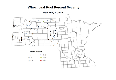 8 4 8 15 Wheat LR Sev