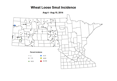 8 4 8 15 Wheat LS Inc