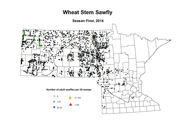 2014 Season Final Wheat Stem Sawfly
