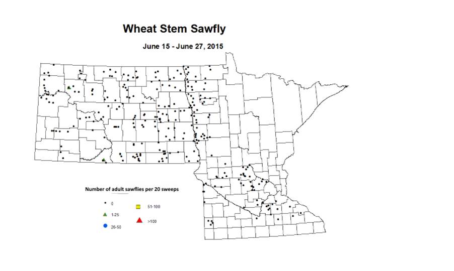 6 15 6 27 Wheat Stem Sawfly