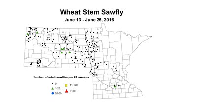 6 13 6 25 Wheat 2016