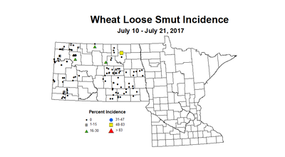 wheat LSI 7 10 7 21 2017