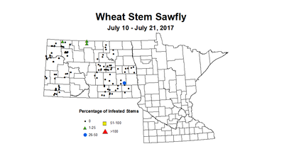 wheat sawfly 7 10 7 21 2017