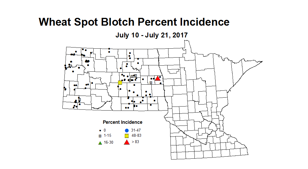 wheat sbi 7 10 7 21 2017
