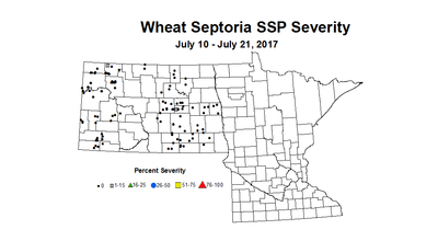 wheat sspsv 7 10 7 21 2017