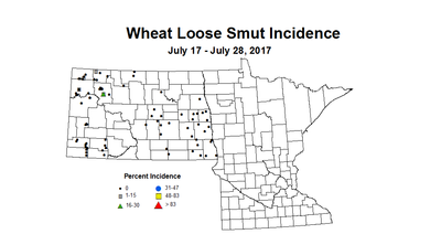 wheat LSI 7 17 7 28 2017