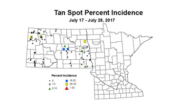 wheat tsi 7 17 7 28 2017