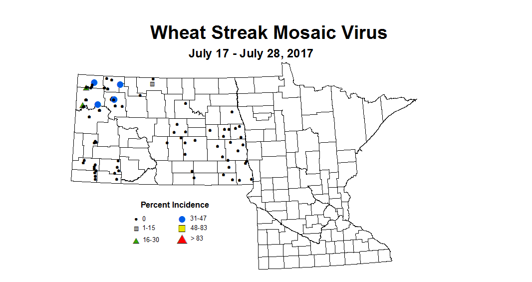 wheat wsmvi 7 17 7 28 2017