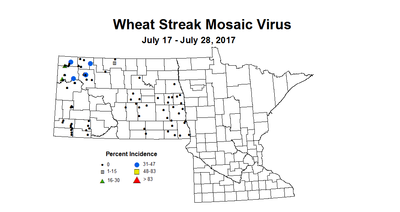 wheat wsmvi 7 17 7 28 2017