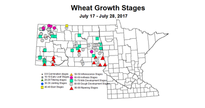 wheat zgs 7 17 7 28 2017