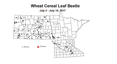 wheat clbstms 7 3 7 14 2017