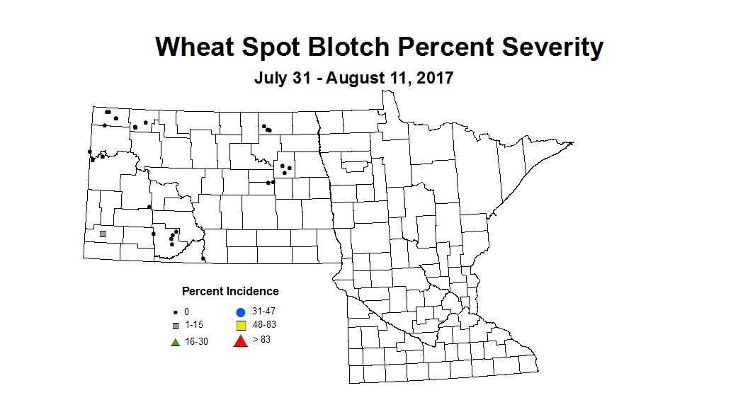wheat SBSV 7 31 8 11 2017