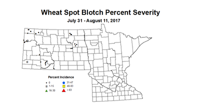 wheat SBSV 7 31 8 11 2017