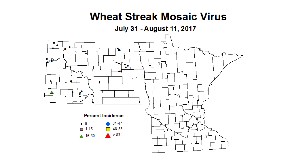 wheat wsmvi 7 31 8 11 2017