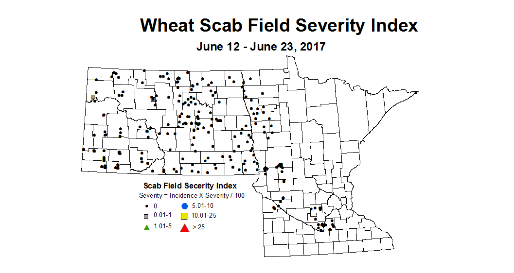 wheat scabIndex 6 12 6 23 2017