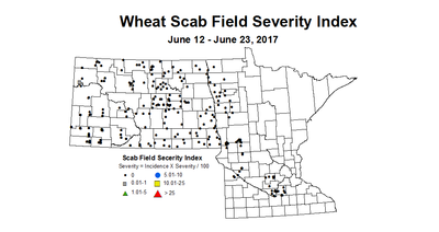 wheat scabIndex 6 12 6 23 2017
